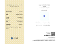 GUILD Certified Vibrant Brilliance Gem